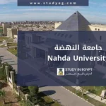 الدراسة في جامعة النهضة