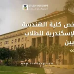 كلية الهندسة جامعة الإسكندرية