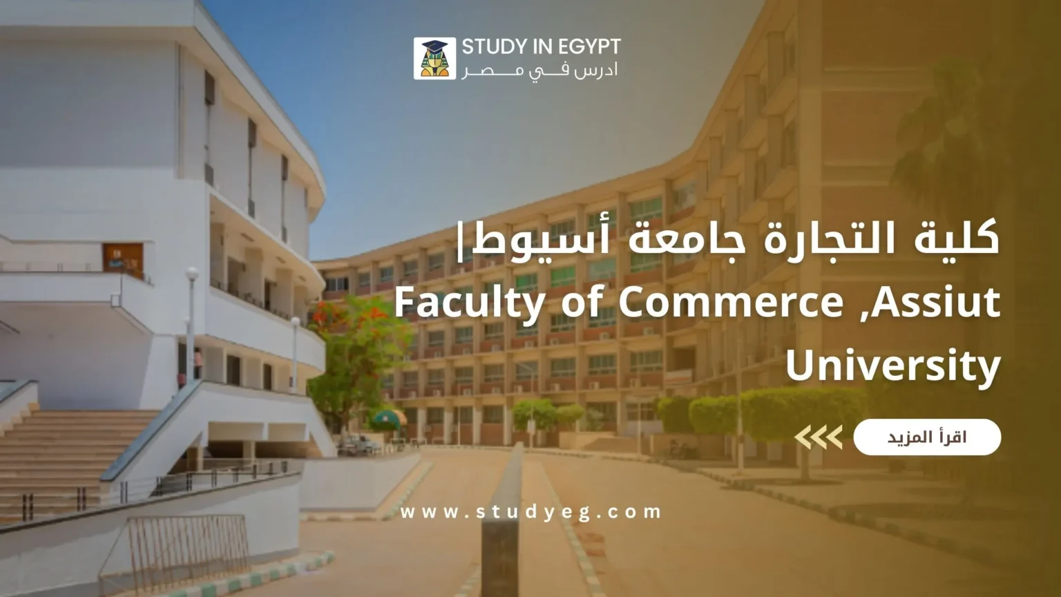 كلية التجارة جامعة أسيوط