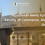 كلية التجارة جامعة الإسكندرية