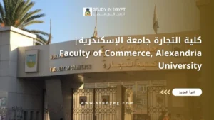 كلية التجارة جامعة الإسكندرية