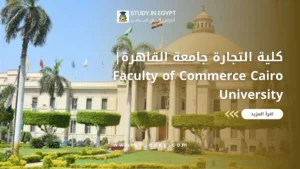 كلية التجارة جامعة القاهرة