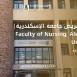 كلية التمريض جامعة الإسكندرية