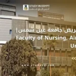 كلية التمريض جامعة عين شمس