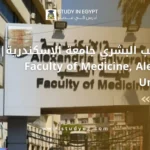 كلية الطب البشري جامعة الإسكندرية