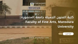 كلية الفنون الجميلة جامعة المنصورة