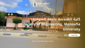 كلية الهندسة جامعة المنوفية