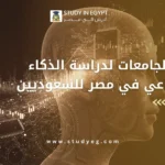 أفضل الجامعات لدراسة الذكاء الاصطناعي في مصر للسعوديين