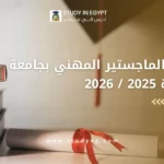 الماجستير المهني بجامعة القاهرة