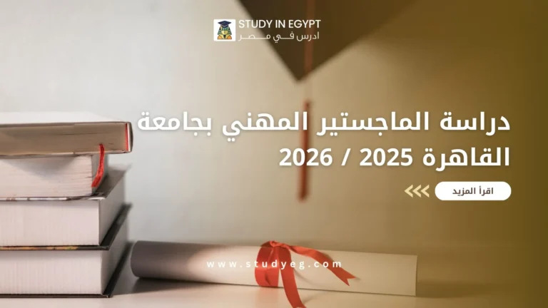الماجستير المهني بجامعة القاهرة