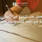 فرص العمل بعد التخرج من كلية الهندسة في مصر للسعوديين