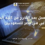 فرص العمل بعد دراسة الذكاء الاصطناعي في مصر للسعوديين