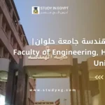 كلية الهندسة جامعة حلوان