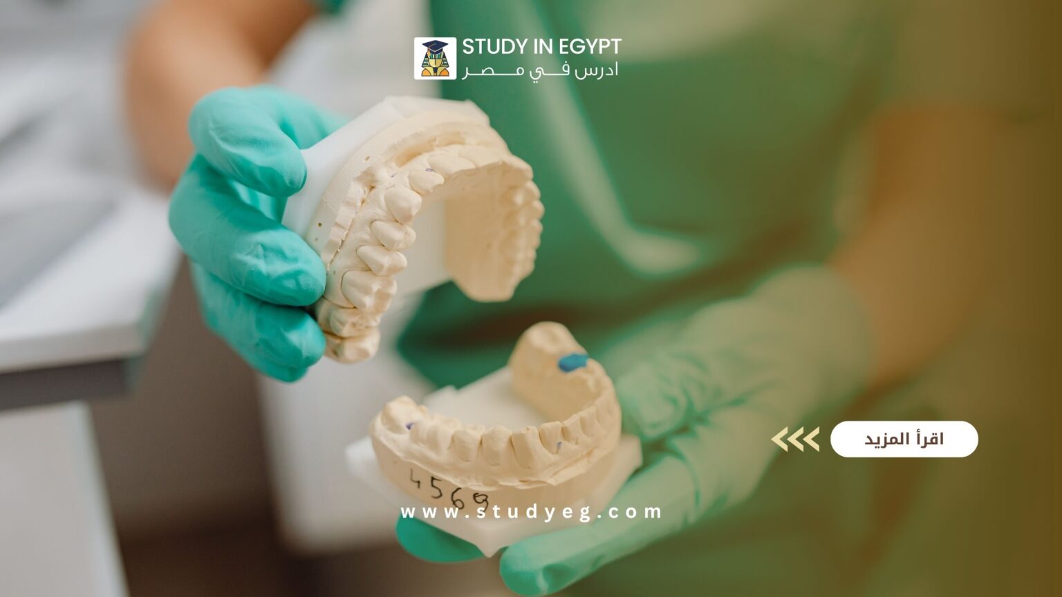كلية طب الأسنان جامعة بني سويف