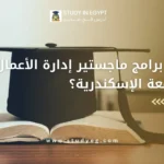 ماجستير ادارة الاعمال جامعة الاسكندرية