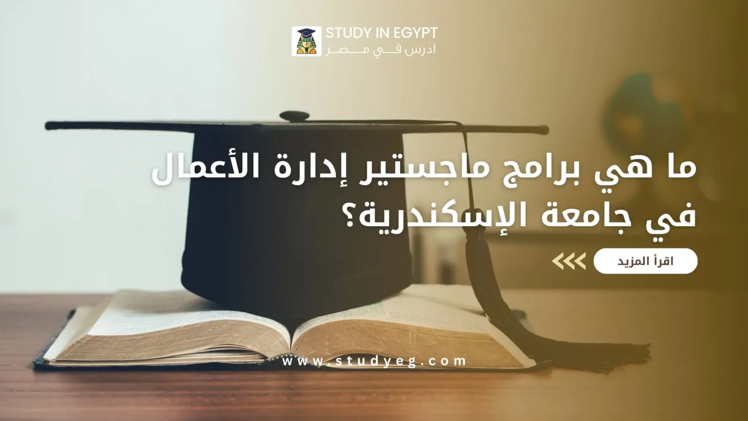 ماجستير ادارة الاعمال جامعة الاسكندرية