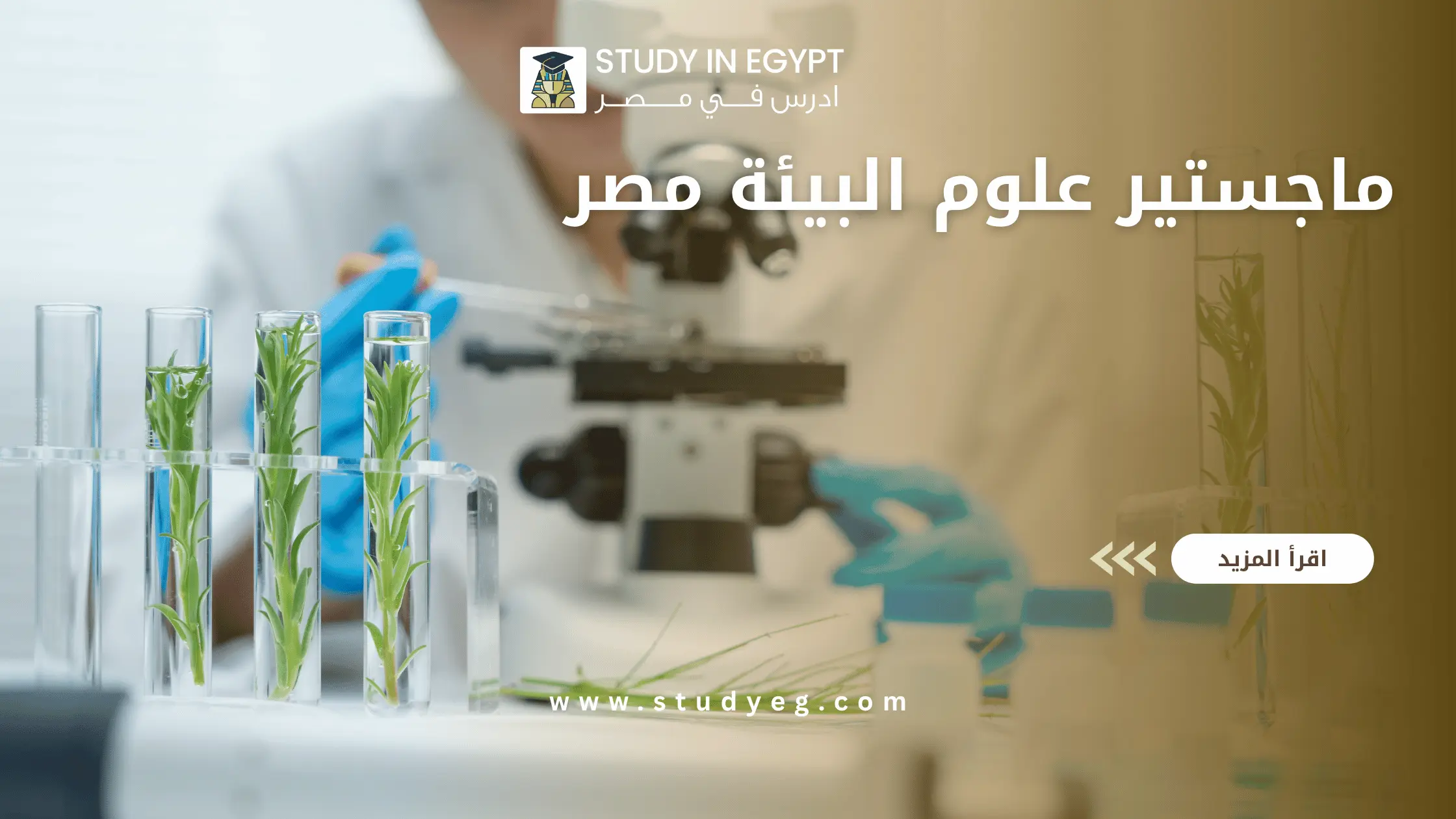 ماجستير علوم البيئة مصر