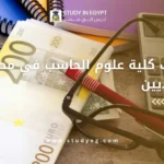 مصاريف كلية علوم الحاسب في مصر للسعوديين