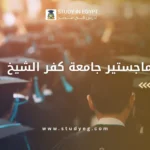 رسائل ماجستير جامعة كفر الشيخ