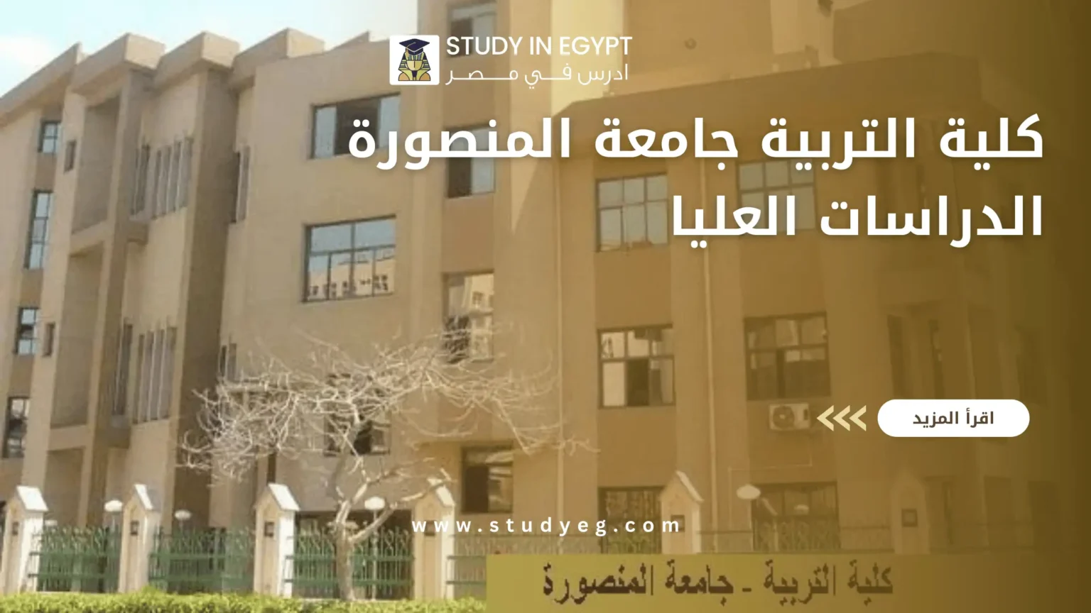كلية التربية جامعة المنصورة الدراسات العليا