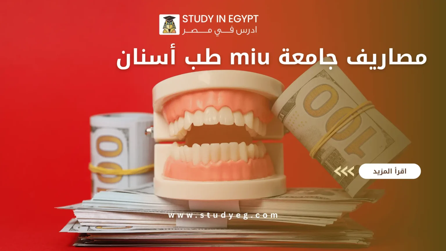 مصاريف جامعة miu طب أسنان