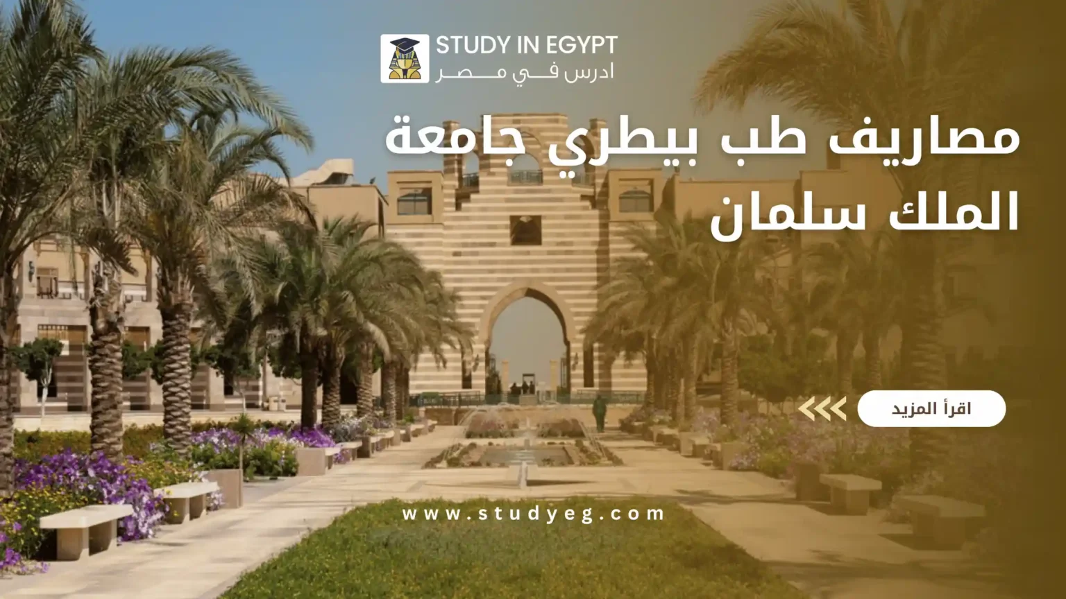 مصاريف طب بيطري جامعة الملك سلمان