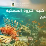 مصاريف كلية الثروة السمكية بكفر الشيخ