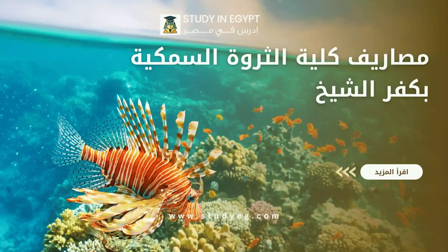 مصاريف كلية الثروة السمكية بكفر الشيخ