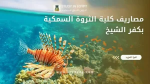 مصاريف كلية الثروة السمكية بكفر الشيخ