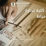 مصاريف كلية تجارة جامعة دمياط