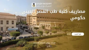 مصاريف كلية طب القصر العيني حكومي