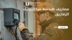 مصاريف هندسة ميكاترونيك الزقازيق