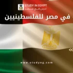 الدراسة في مصر للفلسطينيين