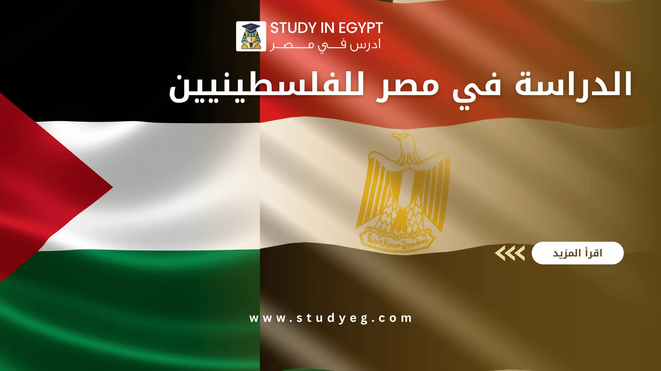 الدراسة في مصر للفلسطينيين