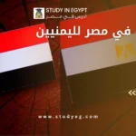 الدراسة في مصر لليمنيين