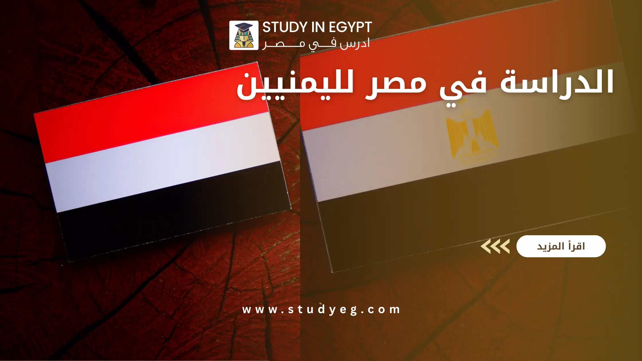 الدراسة في مصر لليمنيين