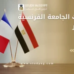 تخصصات الجامعة الفرنسية في مصر