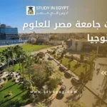 تخصصات جامعة مصر للعلوم والتكنولوجيا
