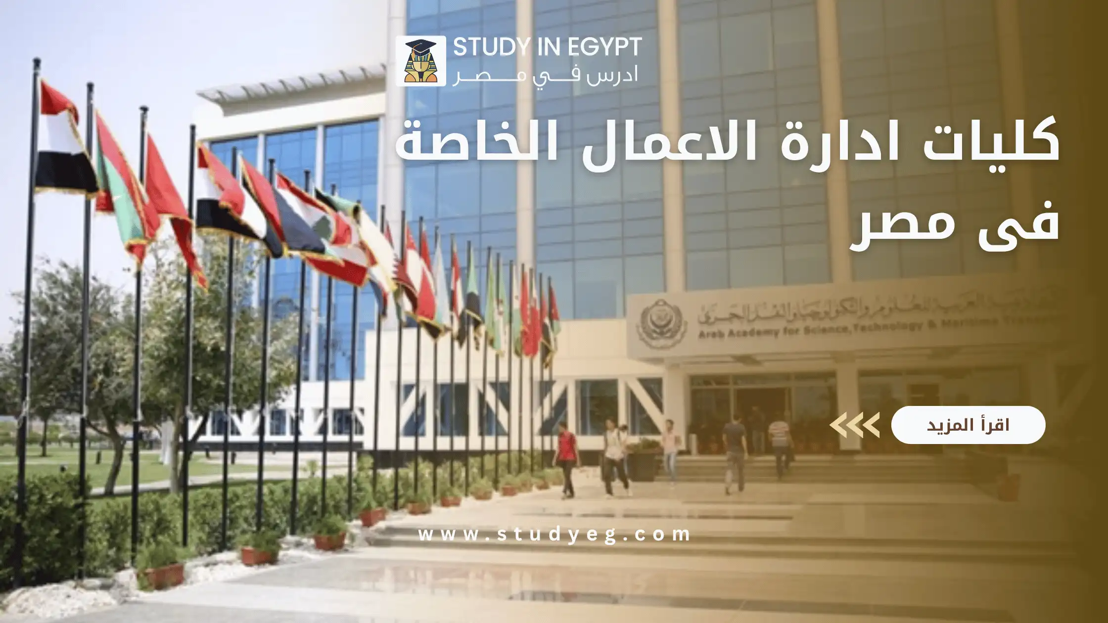 كليات ادارة الاعمال الخاصة فى مصر