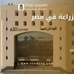 كليات الزراعة في مصر