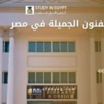 كليات الفنون الجميلة في مصر