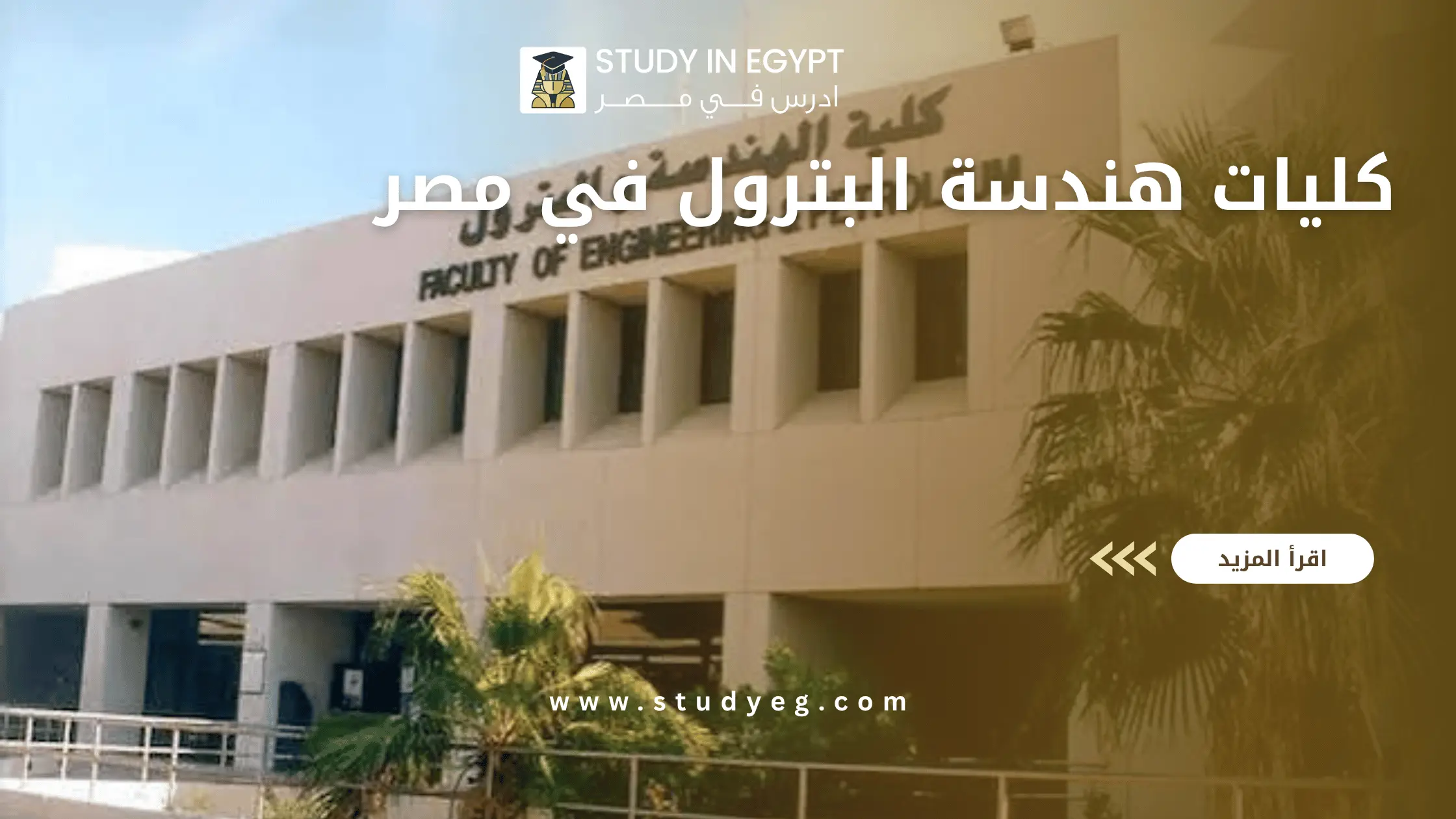 كليات هندسة البترول في مصر