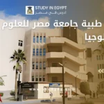 هندسة طبية جامعة مصر للعلوم والتكنولوجيا