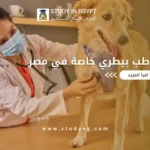 أرخص كلية طب بيطري خاصة في مصر