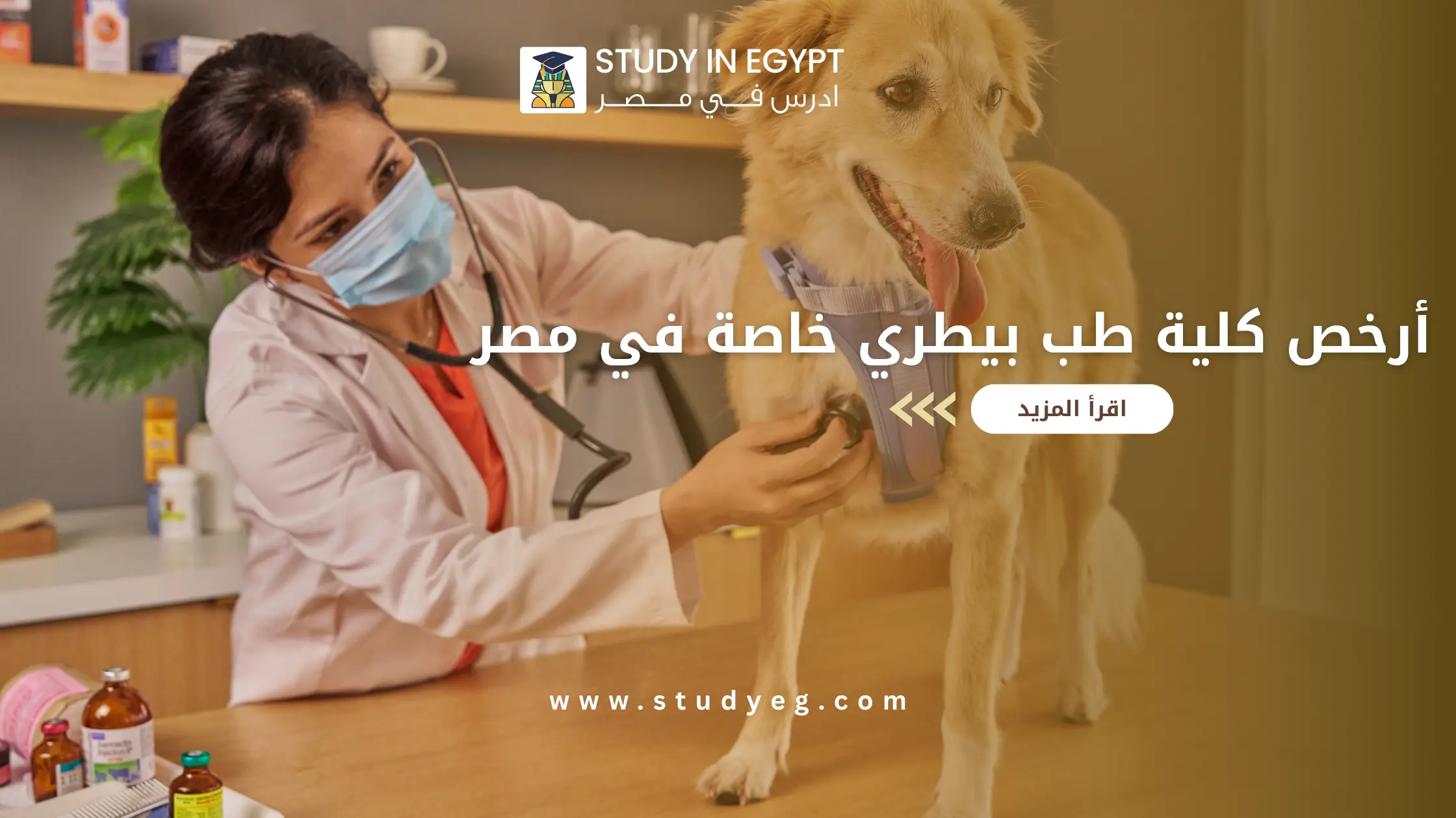 أرخص كلية طب بيطري خاصة في مصر