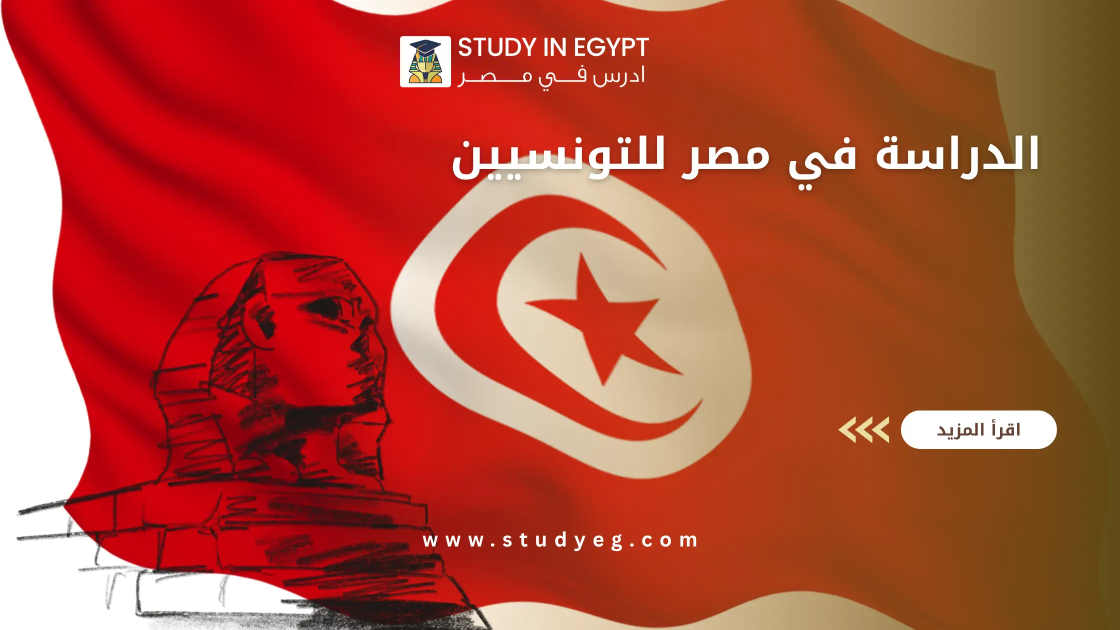 الدراسة في مصر للتونسيين
