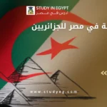 الدراسة في مصر للجزائريين