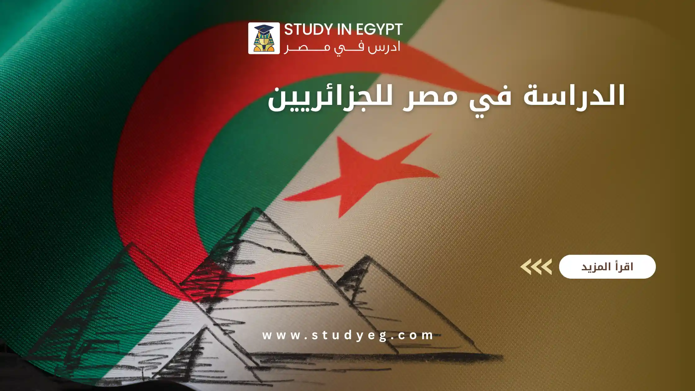 الدراسة في مصر للجزائريين