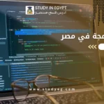دراسة البرمجة في مصر