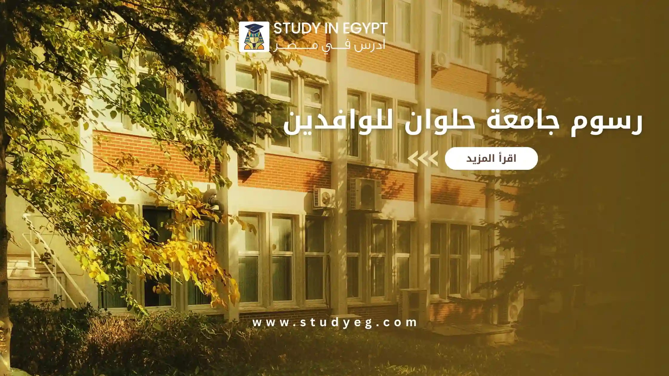 رسوم جامعة حلوان للوافدين